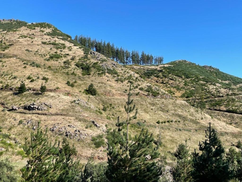 فندق Mountain Eco Shelter 2 فونشال المظهر الخارجي الصورة