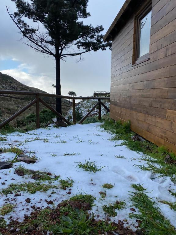 فندق Mountain Eco Shelter 2 فونشال المظهر الخارجي الصورة