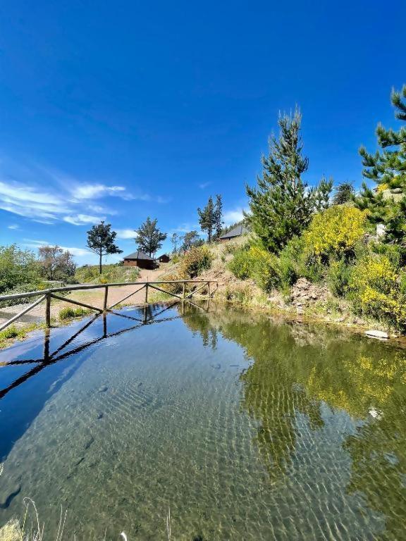 فندق Mountain Eco Shelter 2 فونشال المظهر الخارجي الصورة