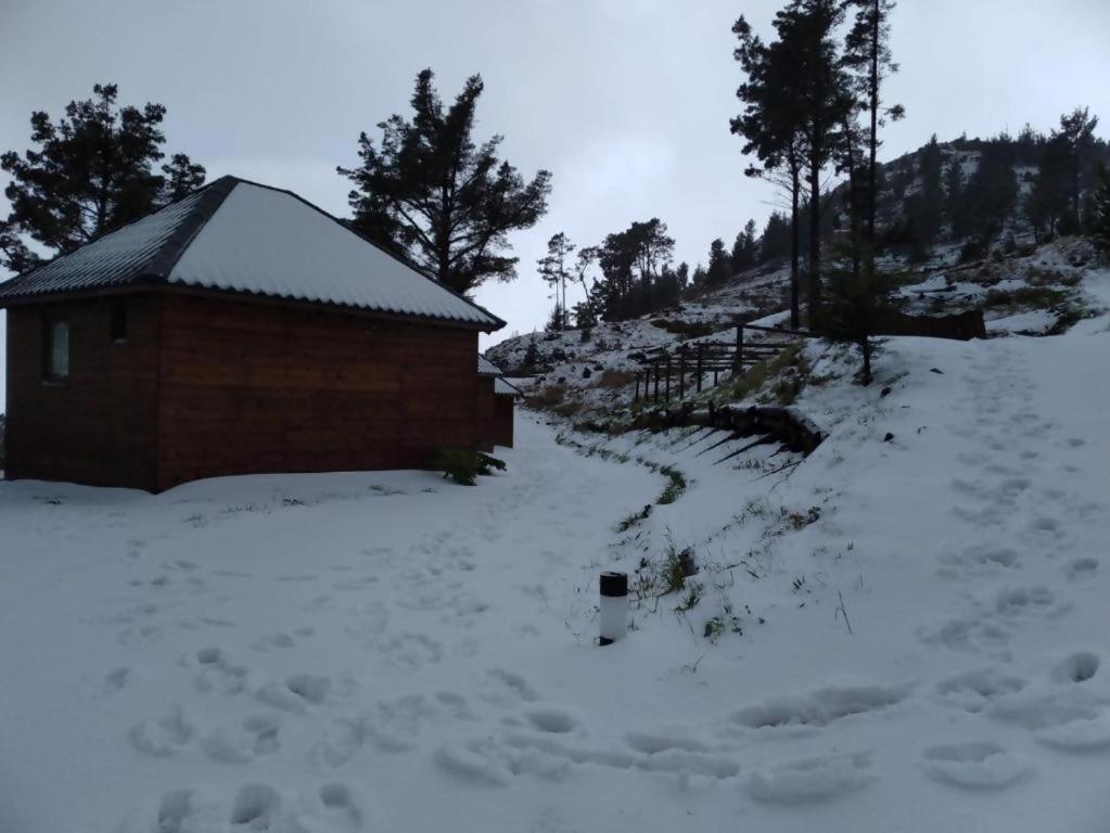 فندق Mountain Eco Shelter 2 فونشال المظهر الخارجي الصورة